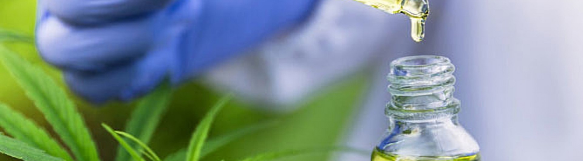 camara-realiza-audiencia-sobre-uso-dacannabispara-fins-medicinais-P5Nn