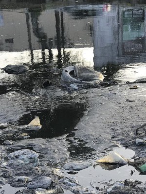 Saneamento básico em Maceió