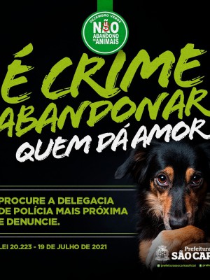 verde1 (1)