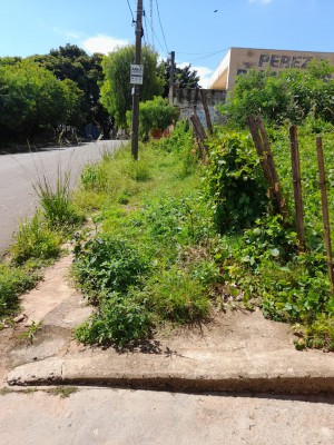 Neusa_terrenos2