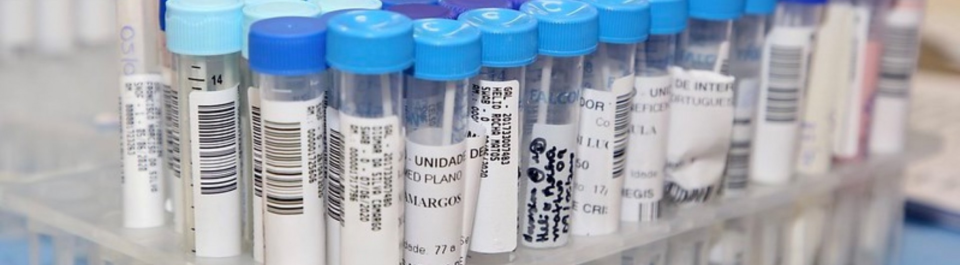 recorde-de-casos-de-covid-foi-provocado-por-represamento-de-dados-ML02