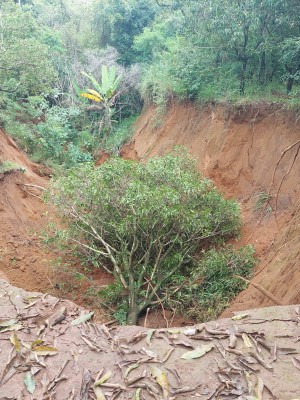 IMG-20220203-WA0055