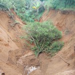 IMG-20220203-WA0059