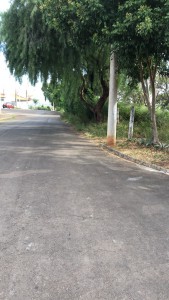 IMG-20220613-WA0073 (1)