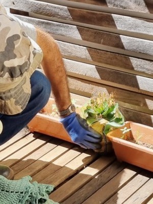 araraquara-ultrapassa-10-mil-casos-de-dengue-desde-o-inicio-do-ano-PGPQ