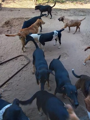 292702577_406068051552611_8916654028510777576_n