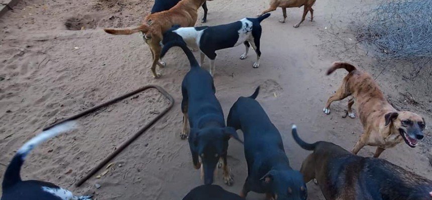 292702577_406068051552611_8916654028510777576_n