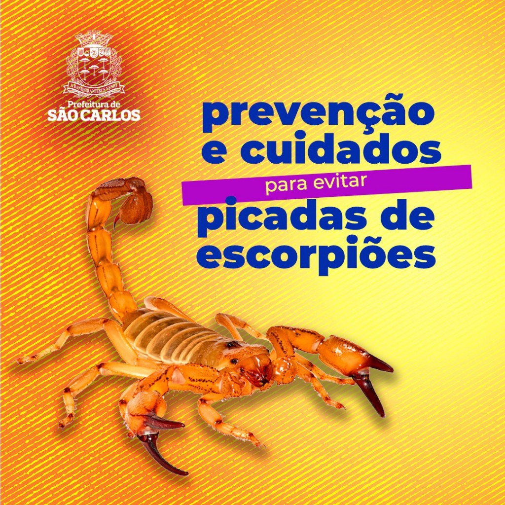 91a87c58-16a7-4929-b4f7-ecb5910429c9