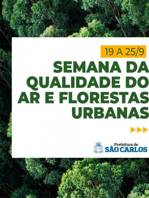 sqafu