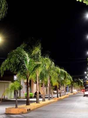 314884524_5528624703852815_882305943203087947_n