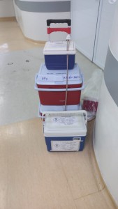 8bbc573b-03f5-4001-84c1-0454f140a12f