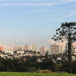 thumbnail_Araucaria Sao Carlos
