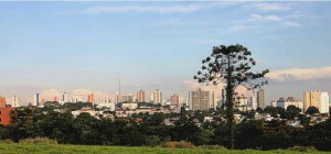 thumbnail_Araucaria Sao Carlos