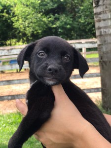 246352fe-a2da-4f76-93c8-edcd9f6ceac8