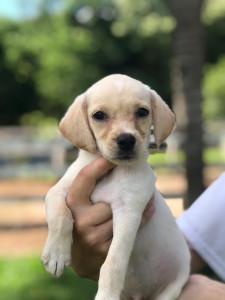 7f04b5cf-540e-4c4f-8597-16380f6dade1