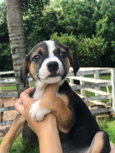 9c645e08-de15-4b95-ab19-478eb3249218