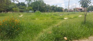 IMG-20230206-WA0074
