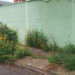 IMG-20230206-WA0076