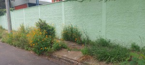 IMG-20230206-WA0076