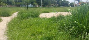 IMG-20230206-WA0079