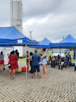 castracao15021