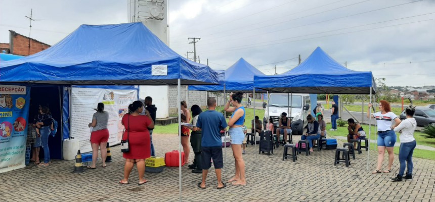castracao15021