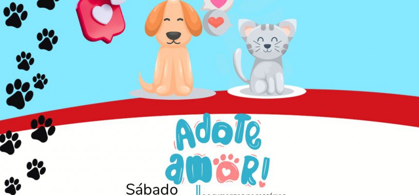d5cce06f-0a3d-486d-8128-ae28999e3396