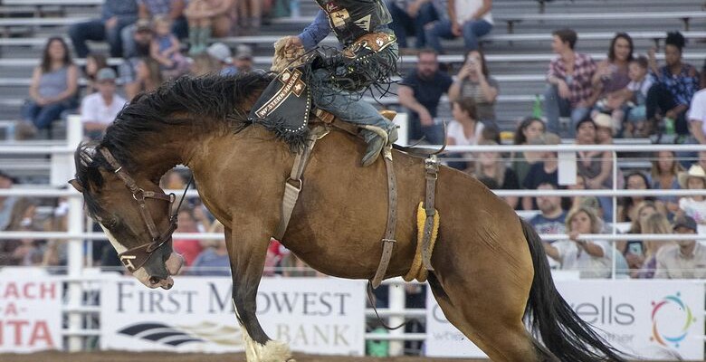 rodeo-gf0aa837ff-1280