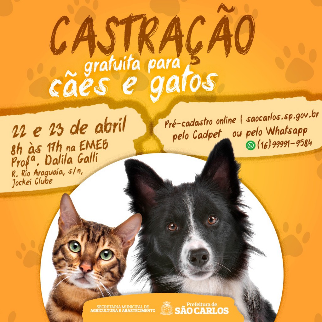 Castracao
