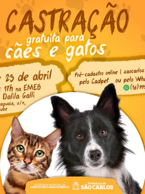 Castracao