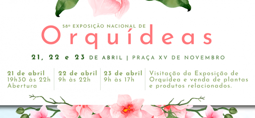 orquideas