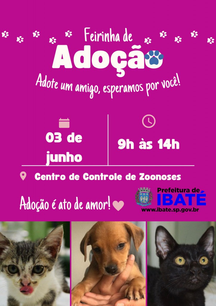 025bbbc2-2b81-4a39-9dea-1105379492f0