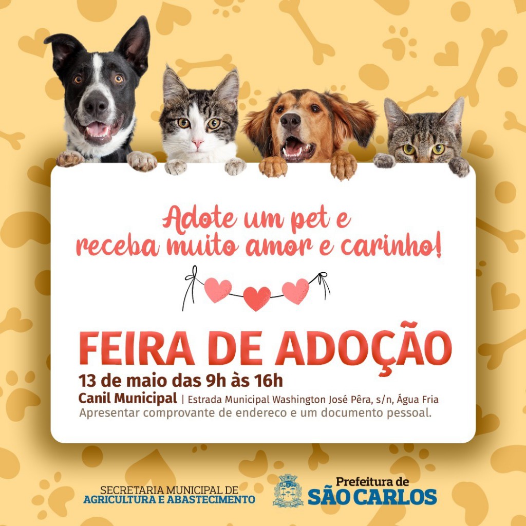 feiradoacao