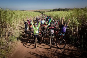 a6a206e5-1387-449b-8c23-8120fb74e889