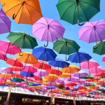 88caabf5-1a2a-4405-a42b-3cfd2cacf2a4