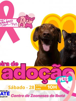 8b623ba7-6a02-457e-9bb9-1abfd3375920