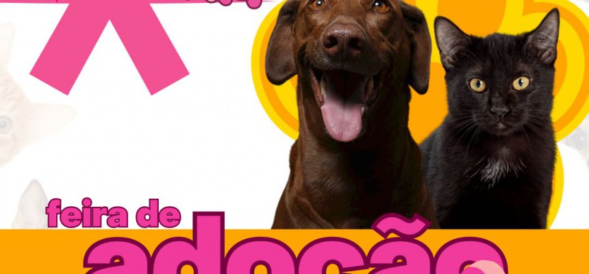 8b623ba7-6a02-457e-9bb9-1abfd3375920