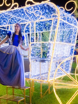 2dd0688a-66b0-4313-a3a9-c59fd3c7b53d