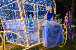 bc461db0-929f-49d3-8628-c4c54f8ae1d7