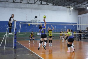 c9131459-3607-4ae7-b319-fbc237c843d2