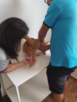 3-vacinacao-antirabica