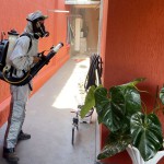 d1f735b5-e8e2-45fe-b3f6-13e406a08b62