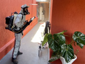 d1f735b5-e8e2-45fe-b3f6-13e406a08b62