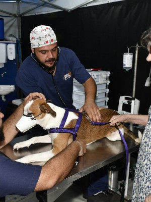 0c1e926a-4f0a-4933-a184-02c5d36d51f3