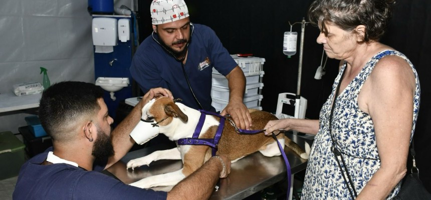 1fc12377-67e0-42a9-a577-7b46383ce1da