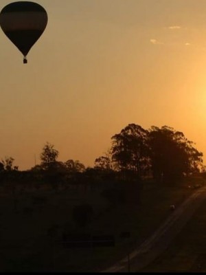 540a7ce1-7d96-4b0c-8898-53814aac2ecd