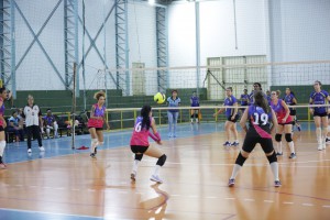 81a37936-2f9c-44e5-b4c0-f08f79846589