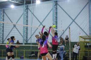 81bb5cd7-990b-48e1-b5f7-f1ab7eac10b7