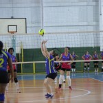 97e88adc-bd32-46e2-bc9c-66f88d819949