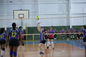 97e88adc-bd32-46e2-bc9c-66f88d819949